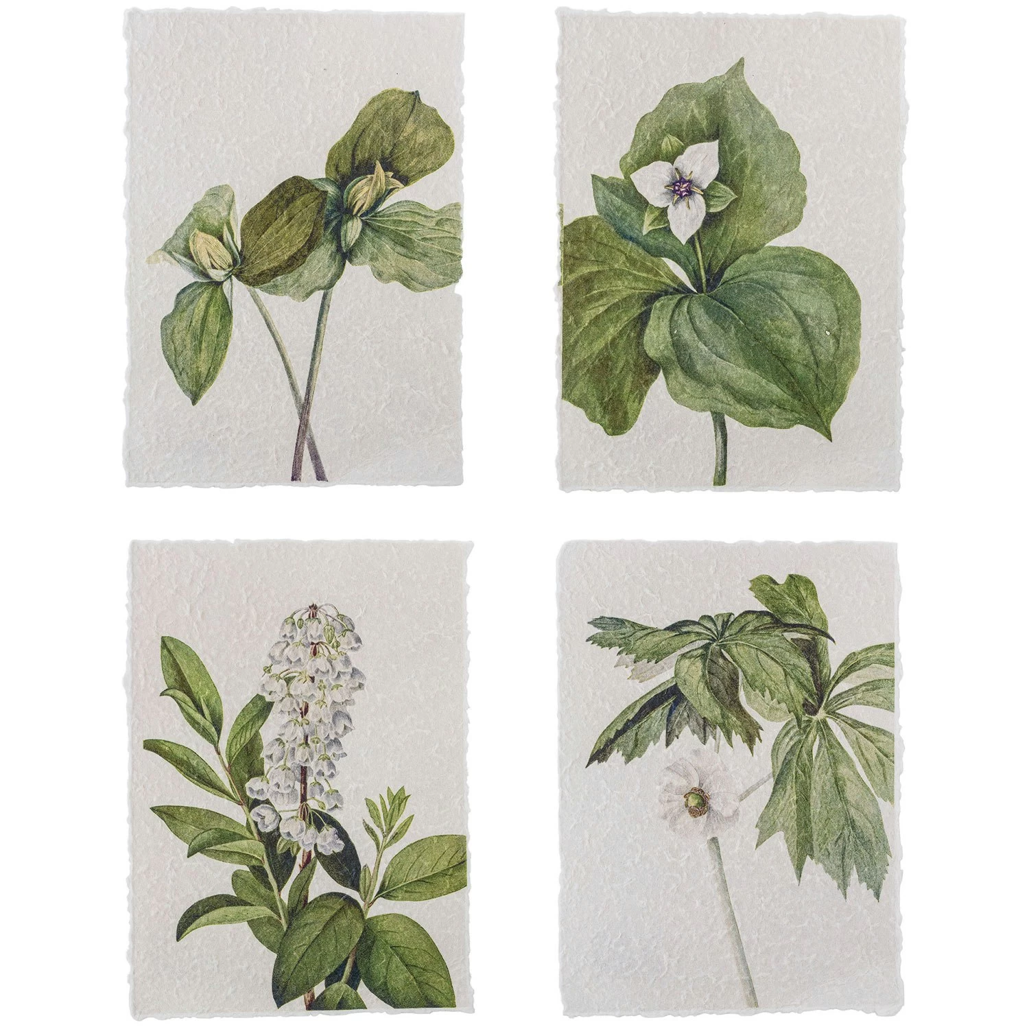 Bloomingville Fribo Poster 25,5x35 Cm 4 Teile, Grün